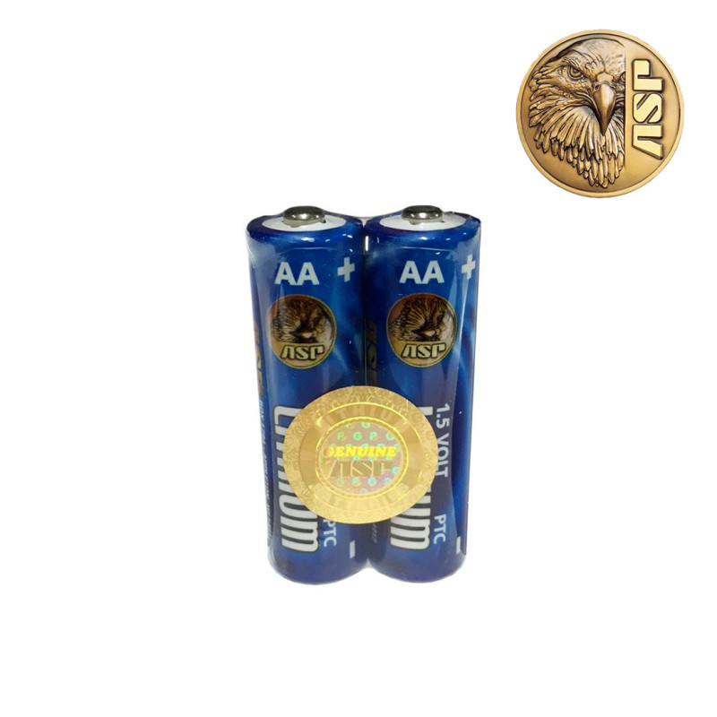 Lot de 2 piles lithium AA