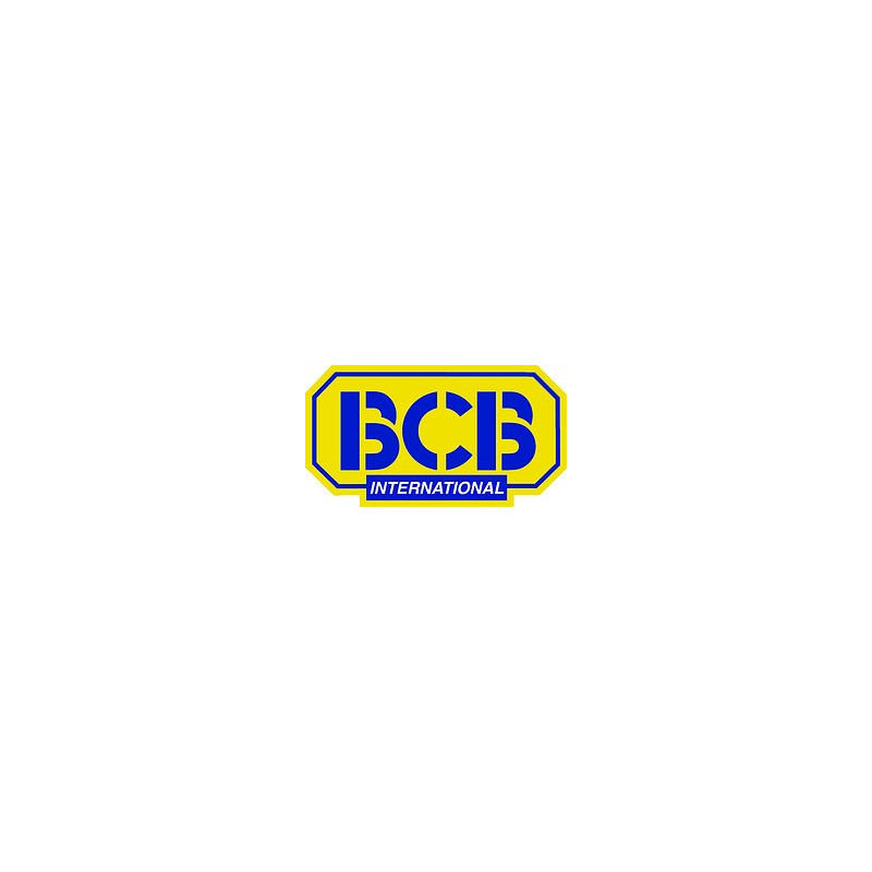 BCB International